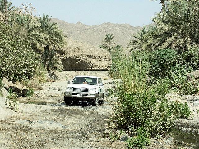 Wadi Adventure Abu Dhabi