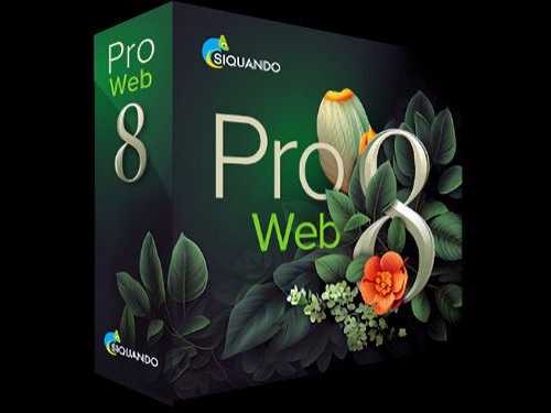 siquando-pro-web-8-640x480