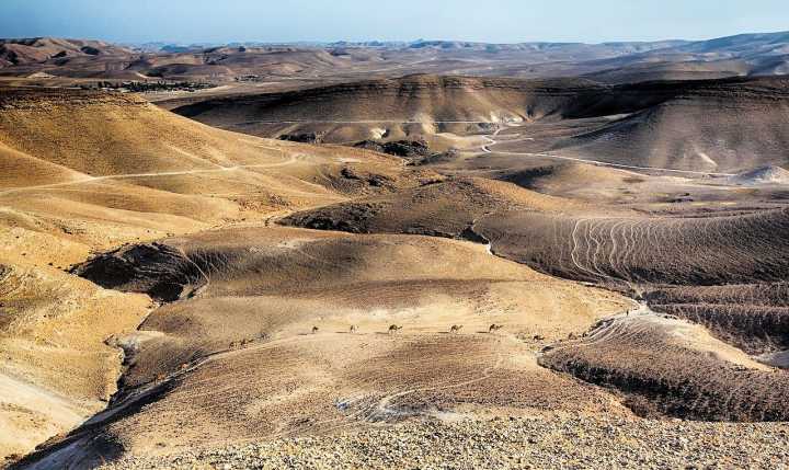 israel-wunderwelten-reise-negev