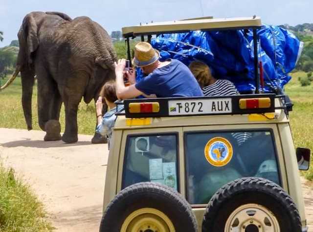 Tansania Safari und baden