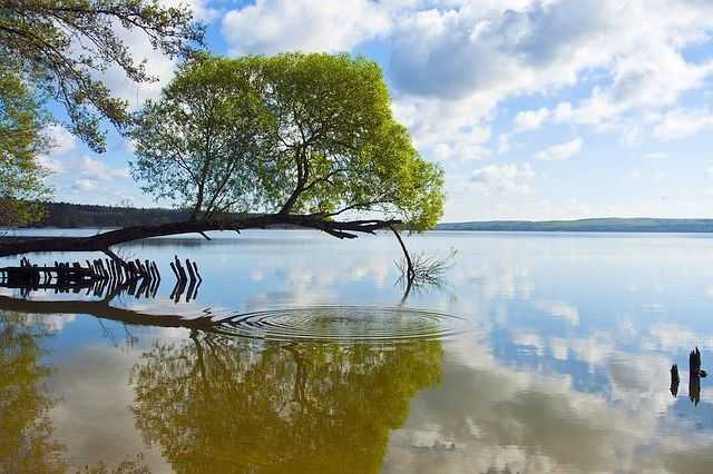 Ferienwohnungen in Mecklenburg-Vorpommern