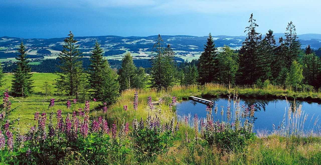 Urlaub in Deutschland Berge und Meer