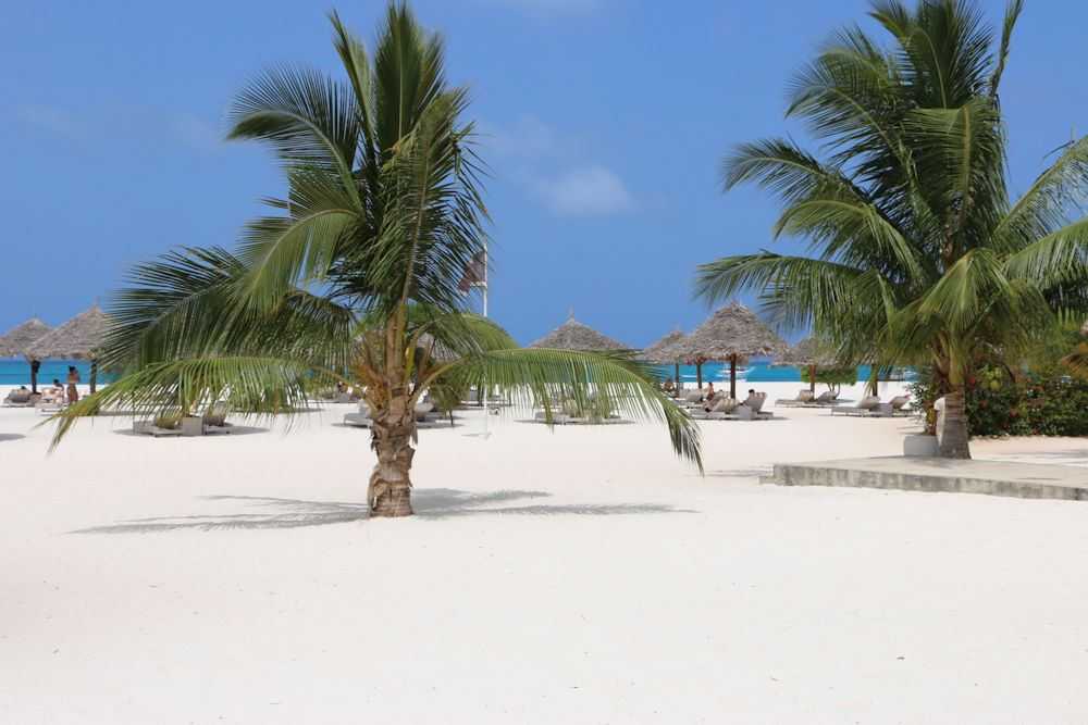 Tansania Safari und Sansibar Tansania Safari und Sansibar