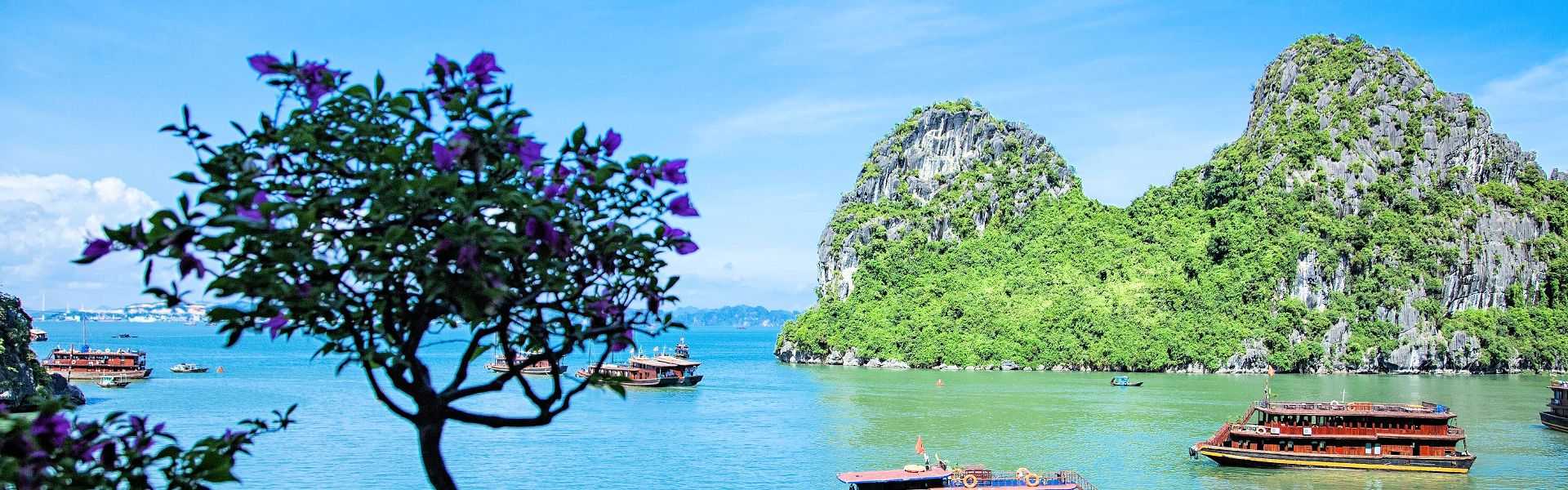 Traditionelle Boote in der Halong-Bucht mit grünen Karstfelsen im Hintergrund