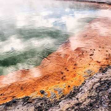 Geothermisches Becken mit orangefarbenen Ablagerungen in Rotorua