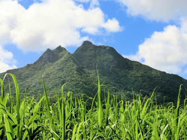 Zentrale Hochebene Mauritius