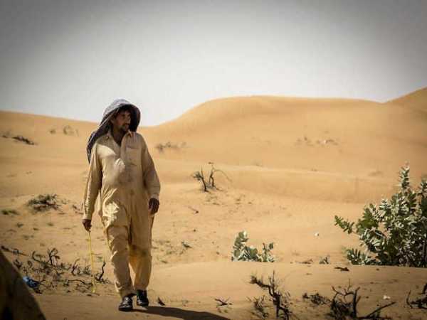 Beste Reisezeit Dubai