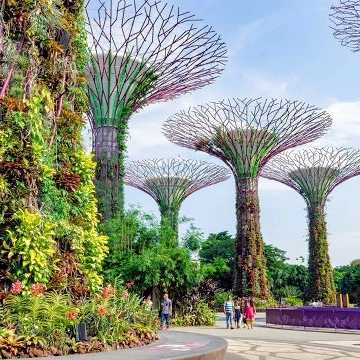 Besucher spazieren durch die futuristischen vertikalen Gärten der Supertree Grove in Singapur