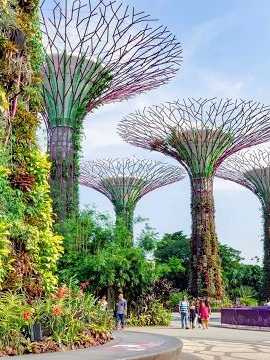 Besucher spazieren durch die futuristischen vertikalen Gärten der Supertree Grove in Singapur