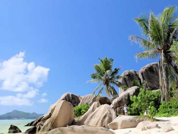 Palmen und Granitfelsen am weißen Sandstrand von La Digue, Seychellen
