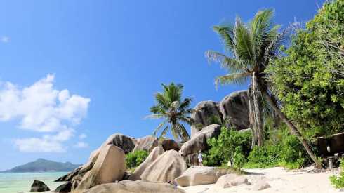 Palmen und Granitfelsen am weißen Sandstrand von La Digue, Seychellen