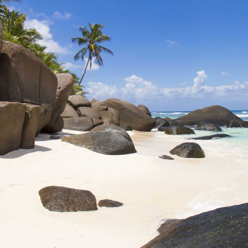 Granitfelsen am weißen Sandstrand von La Digue, Seychellen mit Palmen und blauem Himmel